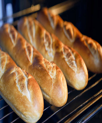 BREAD PLANT SOLUTION